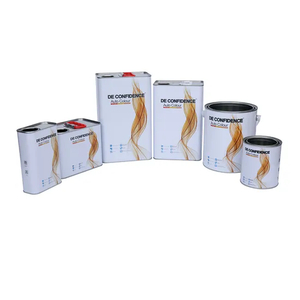 De HS 2K Topcoat HS White D200 Factory Good Whiteness Auto Paint Durable Good Coverage Acrylic Car Paint Refinish