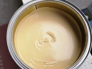 Fast Drying Car Paint Refinish Bpo Polyesterputty Wholesale Automotive Paint Good Flexibility