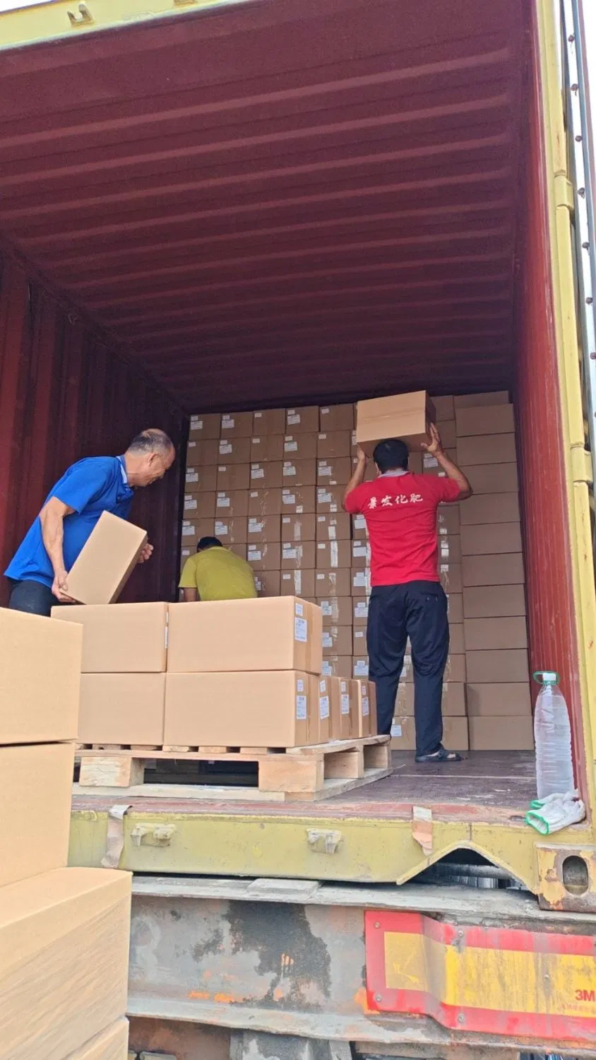 Autocoat HS 1K Brilliant Orange Pearl Ap023 Chinese Factory High Chroma Acrylic Auto Paint Good Color Car Paint Refinish