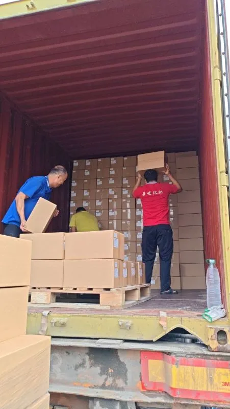 Glinter HS 355 Ceramic Hardener (Fast Drying) Factory OEM/ODM High Gloss Acrylic Car Paint High Hardness Auto Paint Refinish